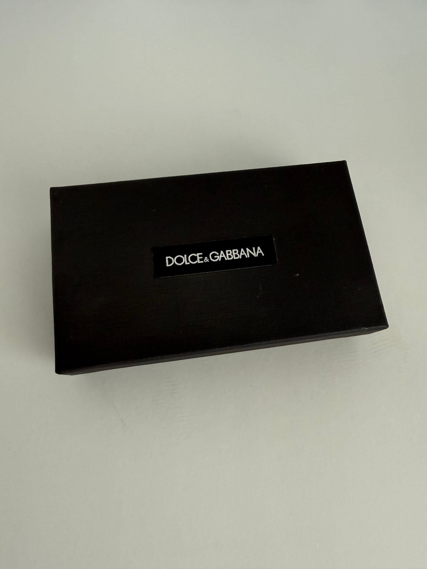 Dolce and Gabbana Case