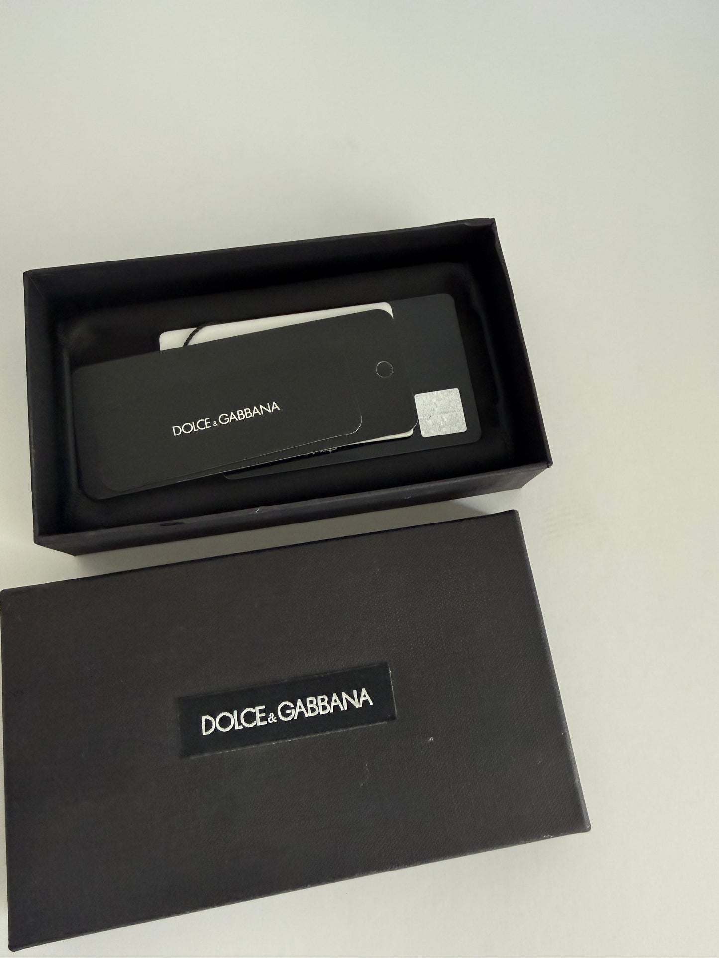 Dolce and Gabbana Case
