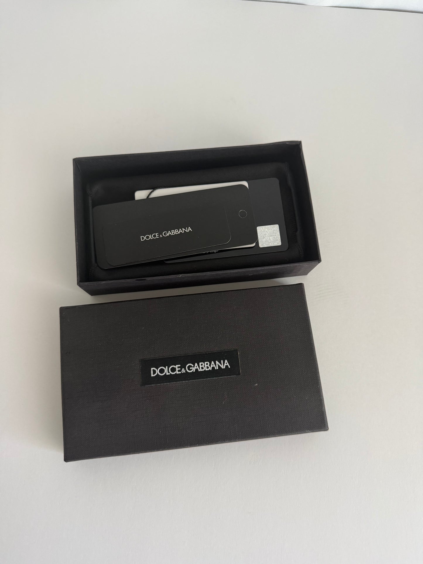 Dolce and Gabbana Case